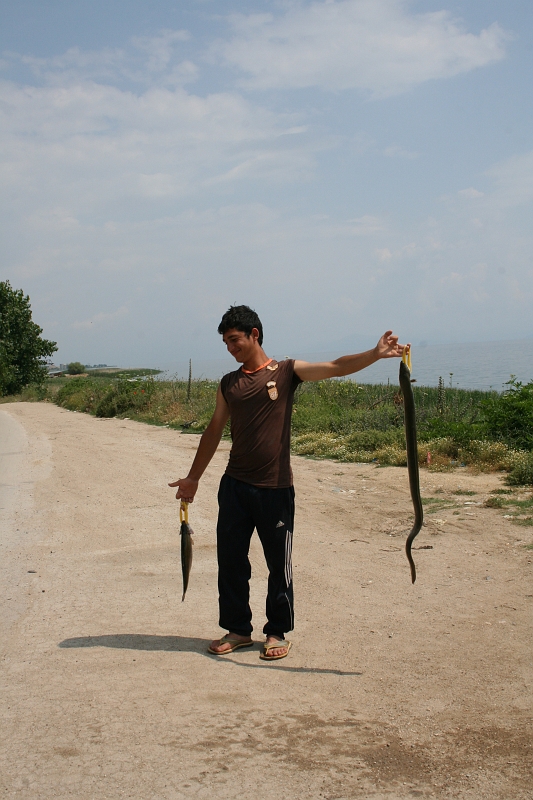Albania_2009 011